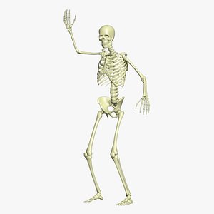 Batter On Deck New model