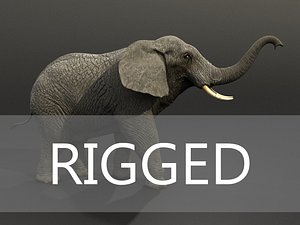 max realistic elephant rigged