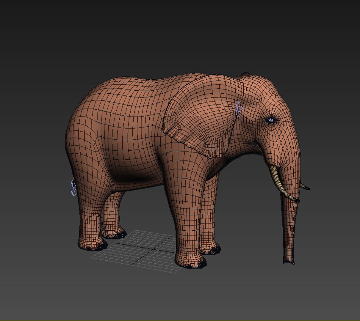 Max Realistic Elephant Rigged