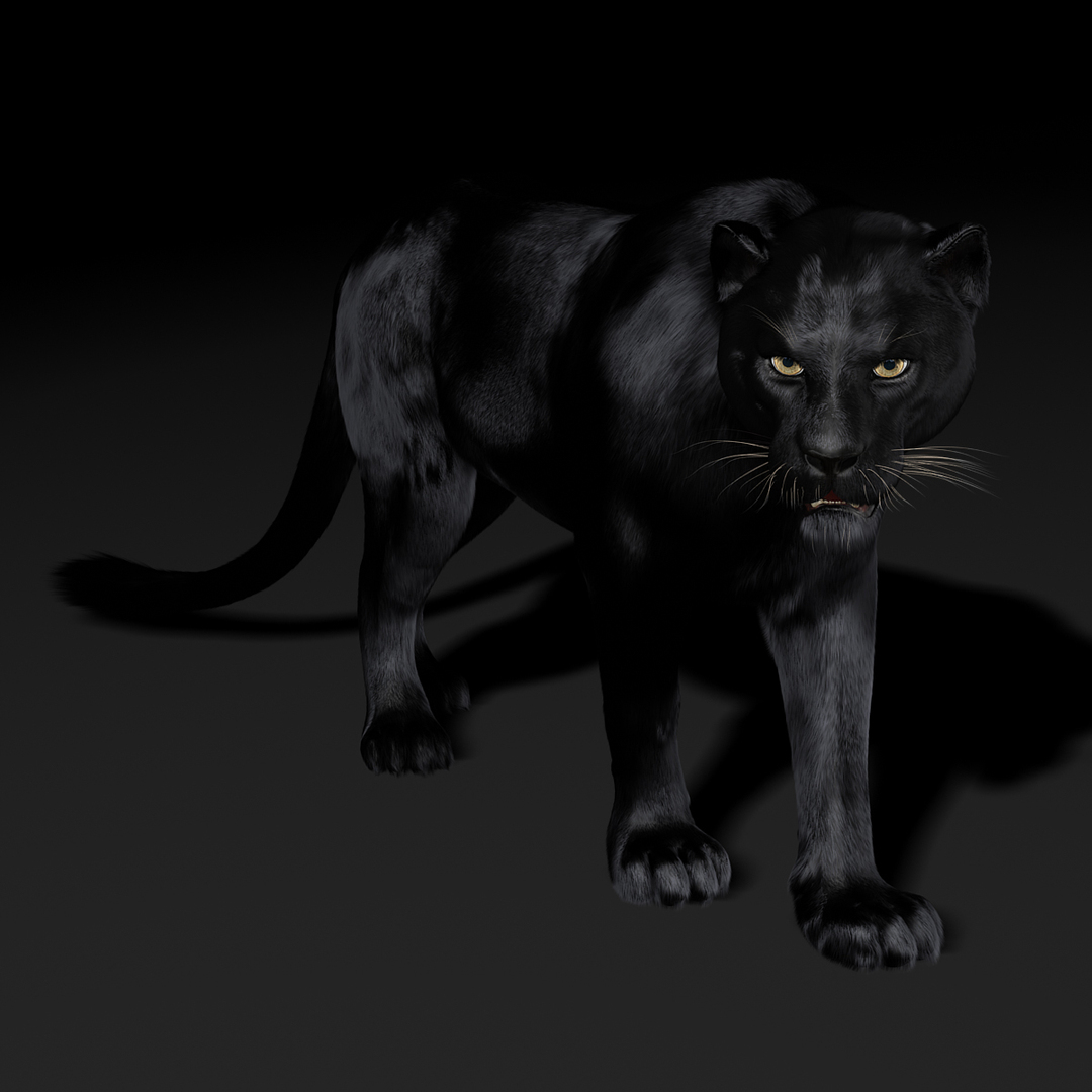 3d black panther fur animation