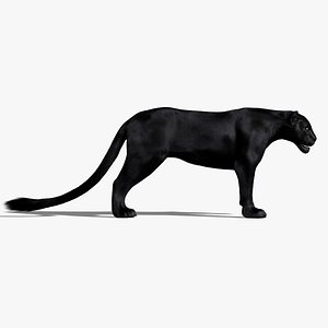 Black Panther (2) (ANIMATED) (FUR)