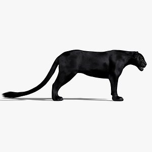 Black Panther (2) (ANIMATED) (FUR)