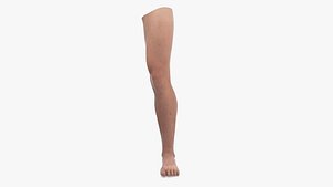 Male Athletic Leg