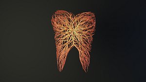 Human tooth unrolling growing animation