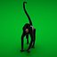 Spider Monkey 3D