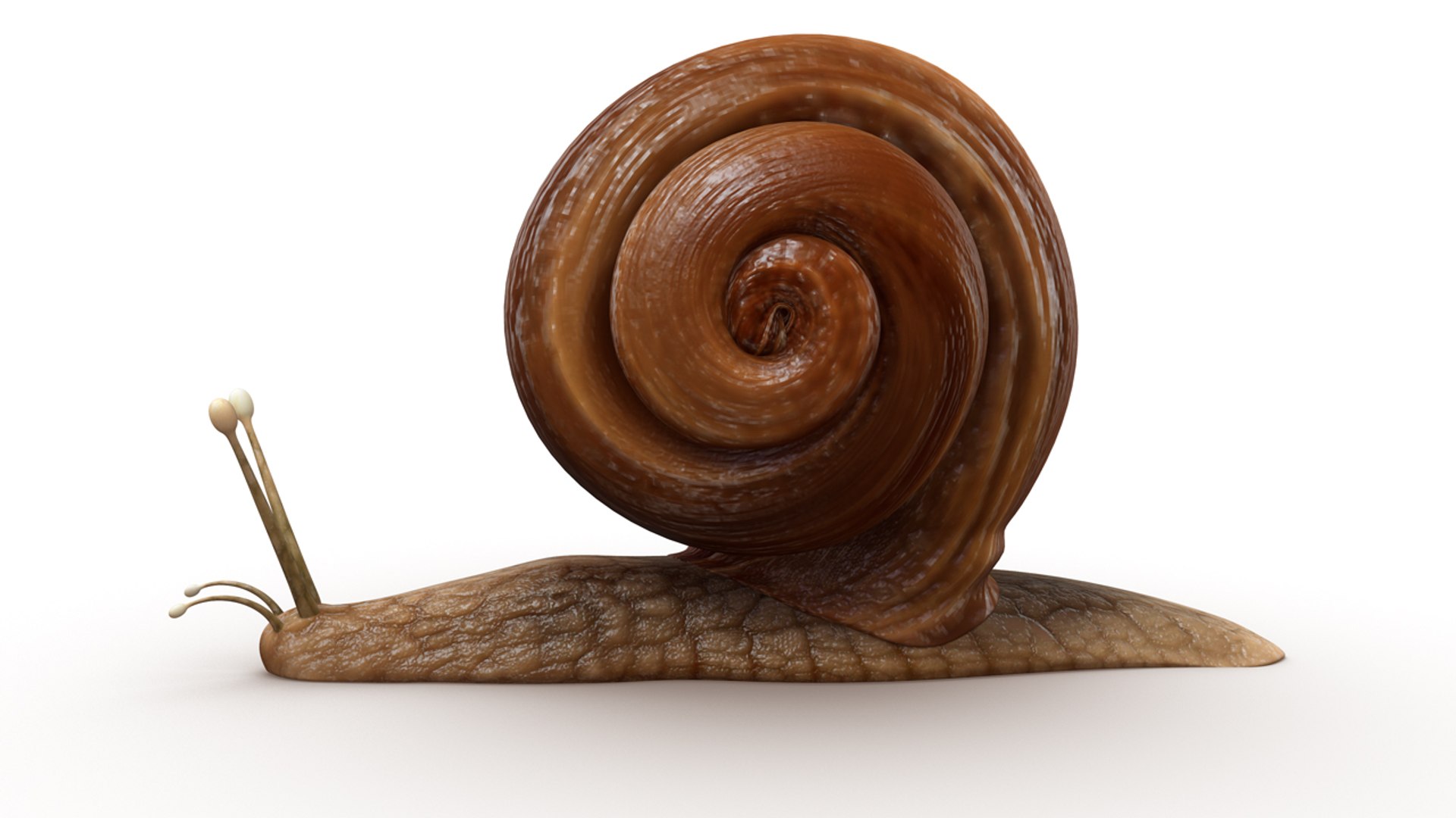 obj helix https://p.turbosquid.com/ts-thumb/cq/3p7BG9/3y32oCkt/b0413helix_perspective.0001/jpg/1479813119/1920x1080/fit_q87/8fabca1ebb08c2bbacf968c6f6c4175776e41ec4/b0413helix_perspective.0001.jpg
