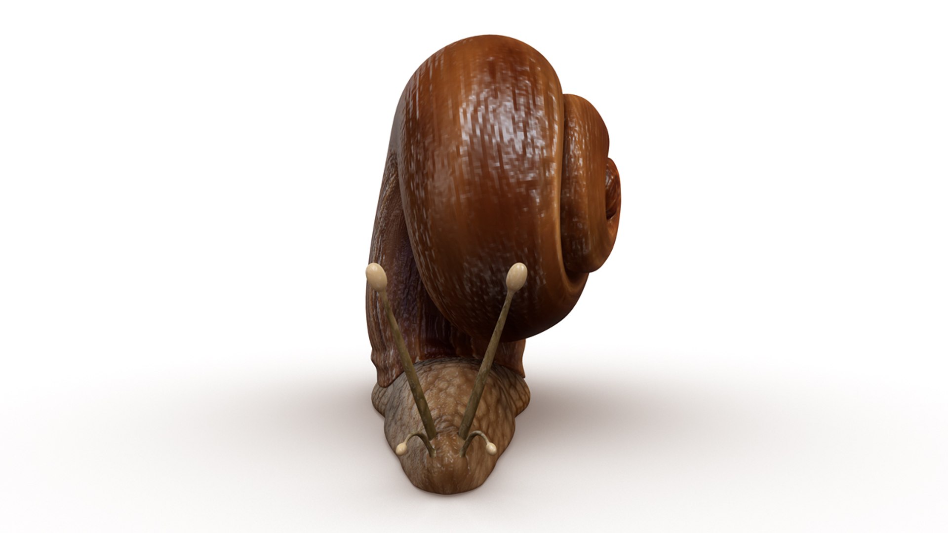 obj helix https://p.turbosquid.com/ts-thumb/cq/3p7BG9/8CDfryCP/b0413helix_front.0001/jpg/1479813119/1920x1080/fit_q87/542c3db7cbad5ef1cb90801f15a1e9681886b2c1/b0413helix_front.0001.jpg