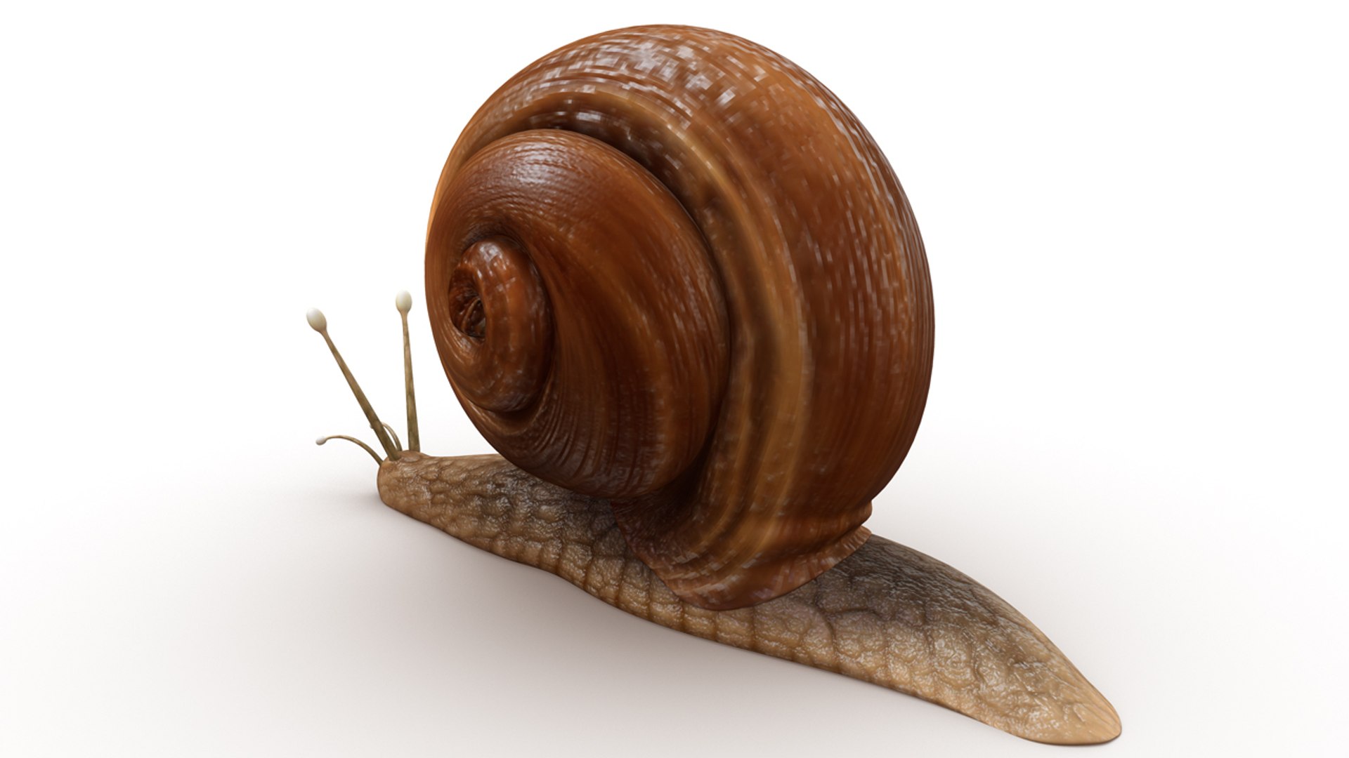 obj helix https://p.turbosquid.com/ts-thumb/cq/3p7BG9/u931Lzzw/b0413helix_back.0001/jpg/1479813119/1920x1080/fit_q87/2229385a5e1ea0ff0bc0553cc8bf6ed3486746ae/b0413helix_back.0001.jpg