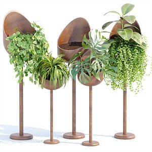 Indoor plants collection vol 132 3D model