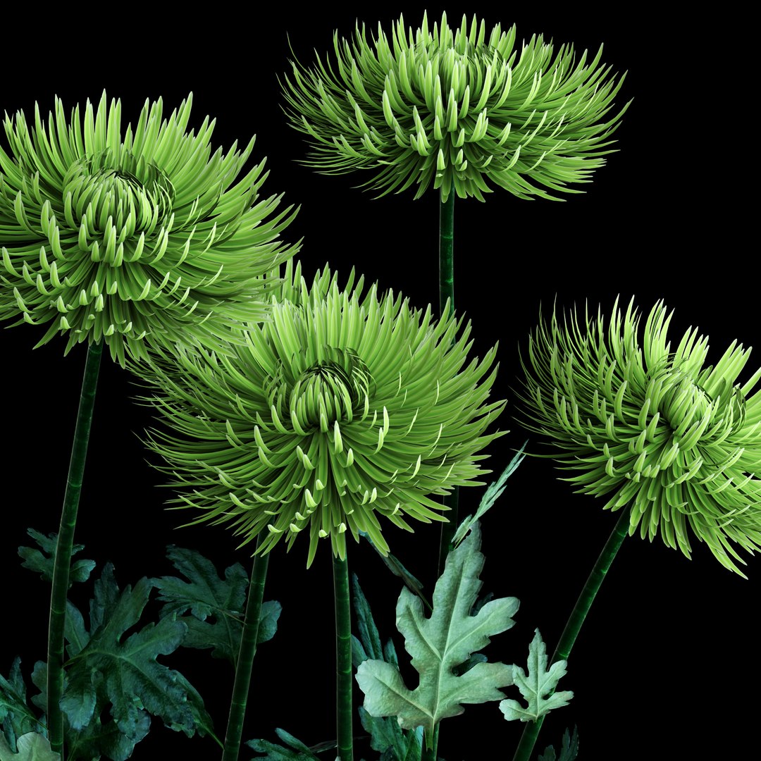 realistic green spider mom 3d max https://p.turbosquid.com/ts-thumb/cq/Hhr8T5/9plUEV0q/d1/jpg/1487014598/1920x1080/fit_q87/4114b72b30782a710af8017c83ffc61da140945a/d1.jpg