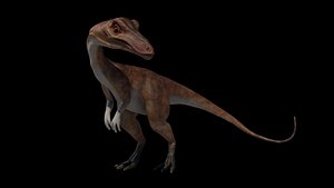 coelophysis animals rigged 3D model