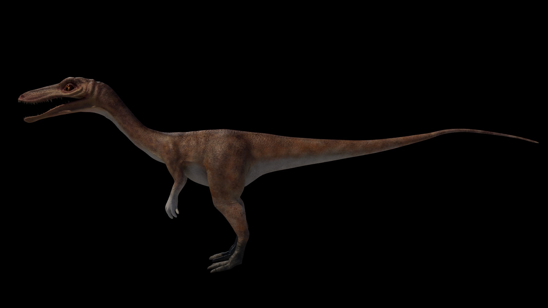 coelophysis animals rigged 3D model https://p.turbosquid.com/ts-thumb/cq/J7BYyV/sUV9xqAh/coelophysis_photoshoot_rendersetuplayer1_beauty_1_0000/png/1598106815/1920x1080/fit_q87/22bdbb732634611077d132f60e60c19c1b701454/coelophysis_photoshoot_rendersetuplayer1_beauty_1_0000.jpg