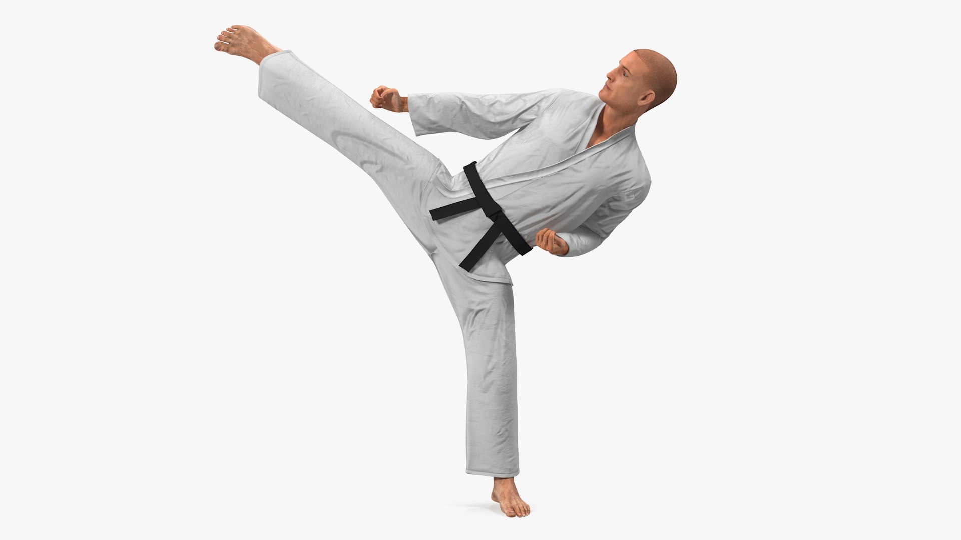 Karate Fighter with Fur Rigged 3D model preview