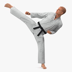 Karate Fighter with Fur Rigged