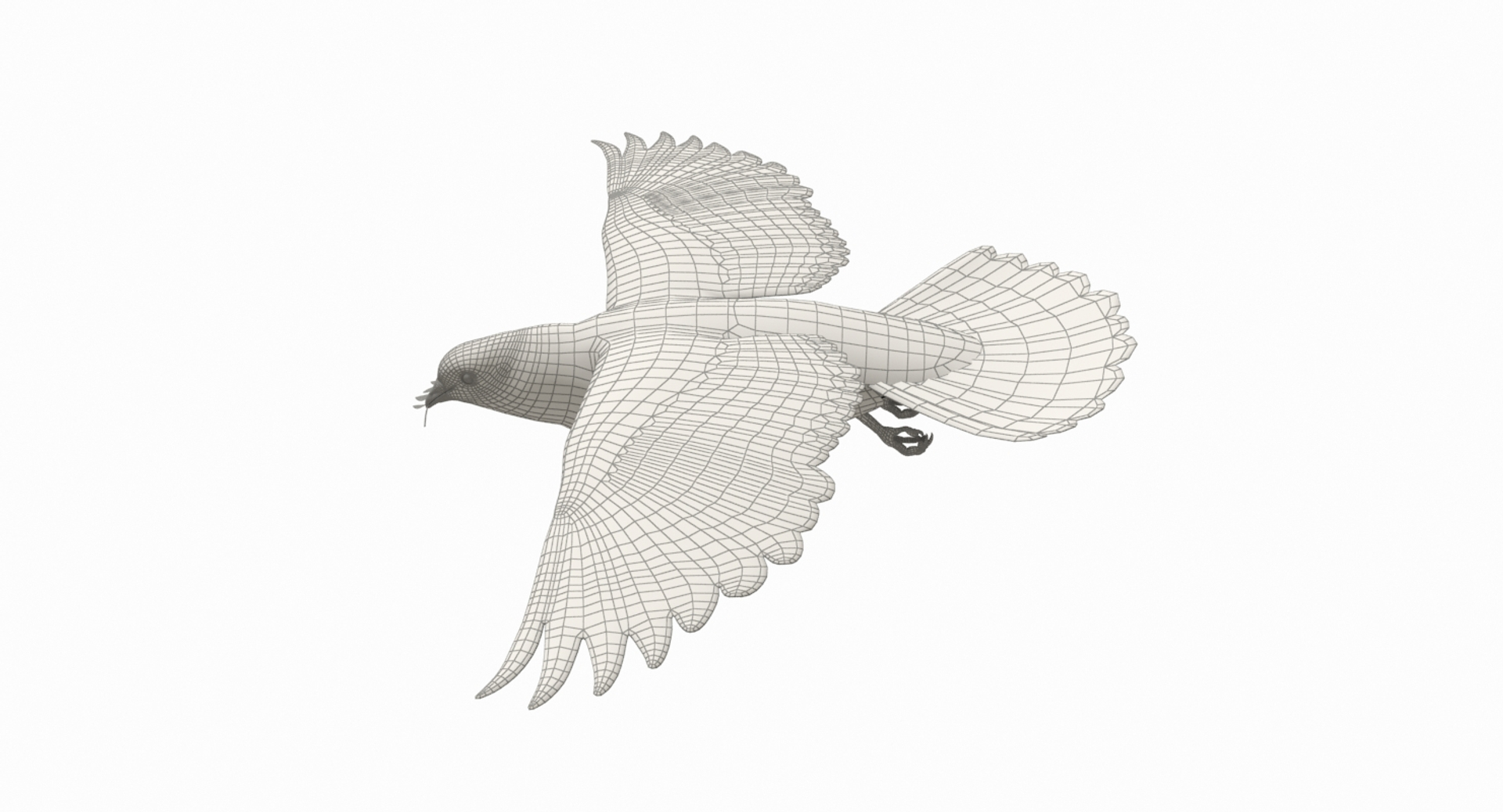 dove flying animation