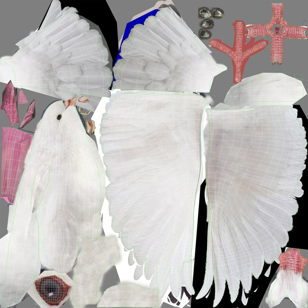dove flying animation 3D https://p.turbosquid.com/ts-thumb/cq/r2EhAR/L6QdAJd8/14/jpg/1543184440/1920x1080/fit_q87/8994bbfd3ea06620aadd94dd32a48d6520089b04/14.jpg