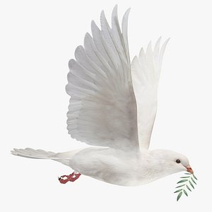Dove (Animated)