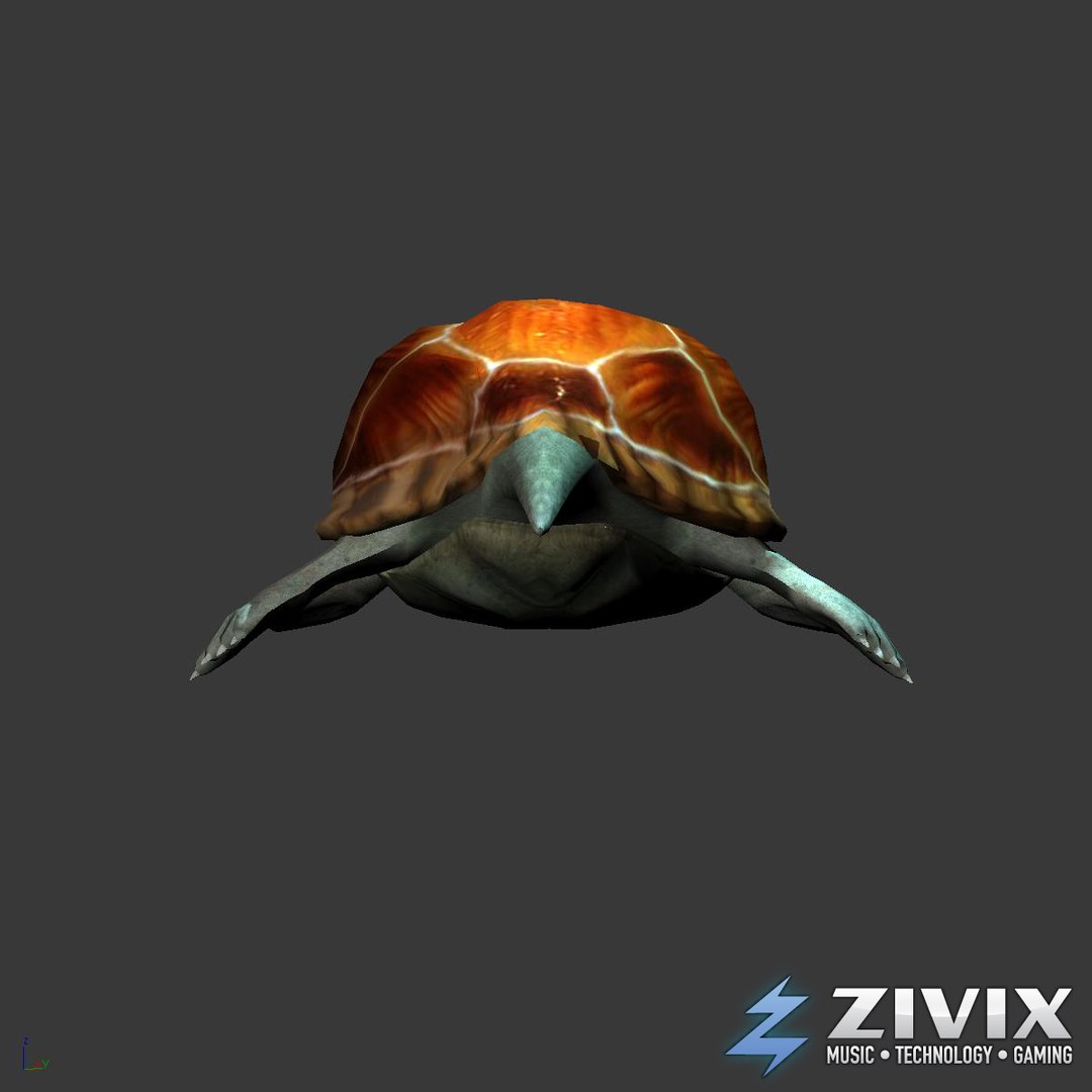 3d Generic Turtle Swim
