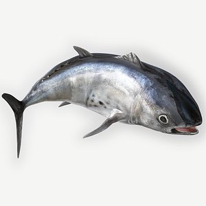 TUNA FISH Rigged L1898