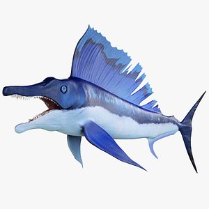 Sailtooth Fish 3D