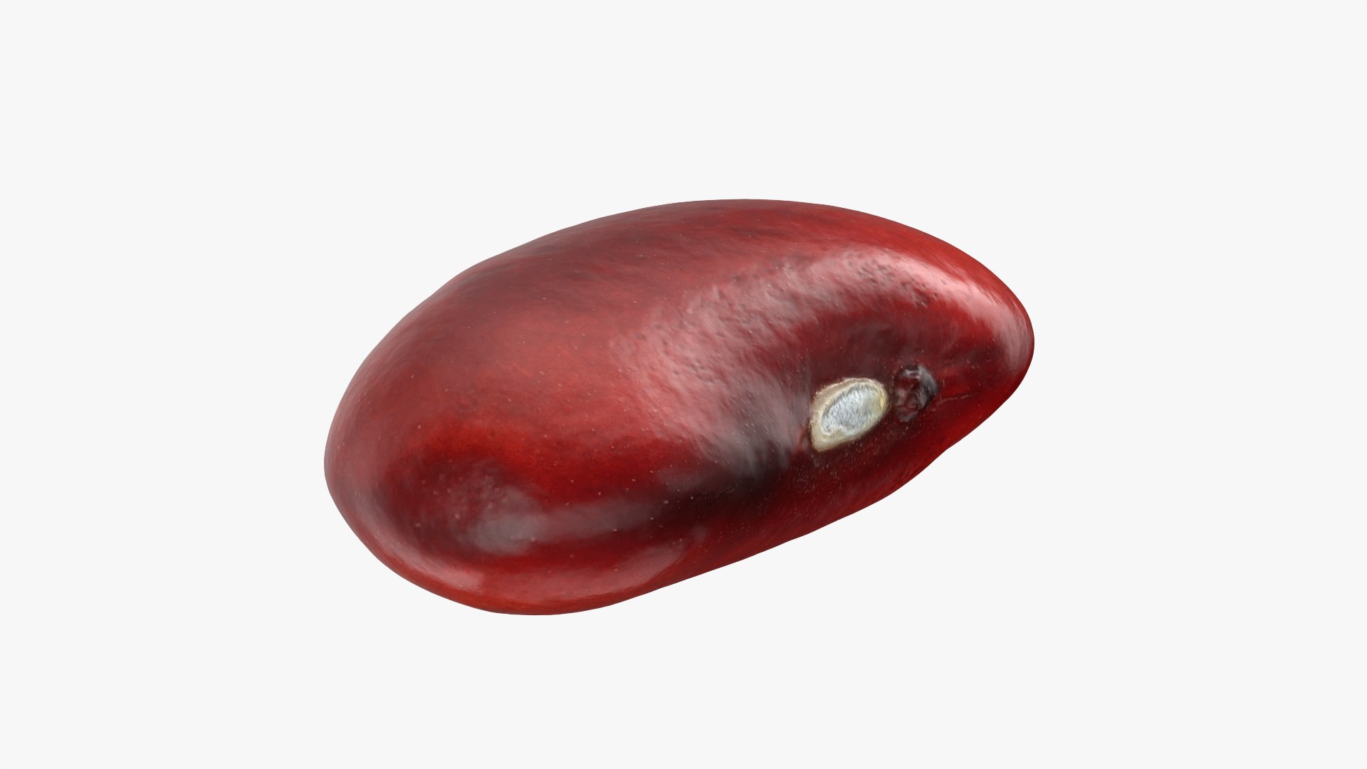 Red Kidney Bean 01 3D model https://p.turbosquid.com/ts-thumb/cr/8idSQT/AO/redbean01_0007/png/1764354392/1920x1080/fit_q87/df865d4b7646736601e35aca614d8de1ad6d9f0b/redbean01_0007.jpg
