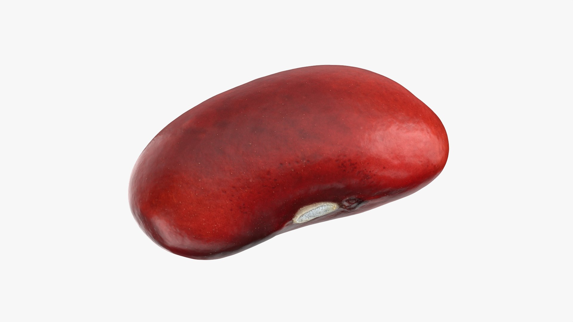 Red Kidney Bean 01 3D model https://p.turbosquid.com/ts-thumb/cr/8idSQT/LT/redbean01_0001/png/1764354385/1920x1080/fit_q87/eaf13840e6bcd67b6fa6865585ce44cdd13b4312/redbean01_0001.jpg