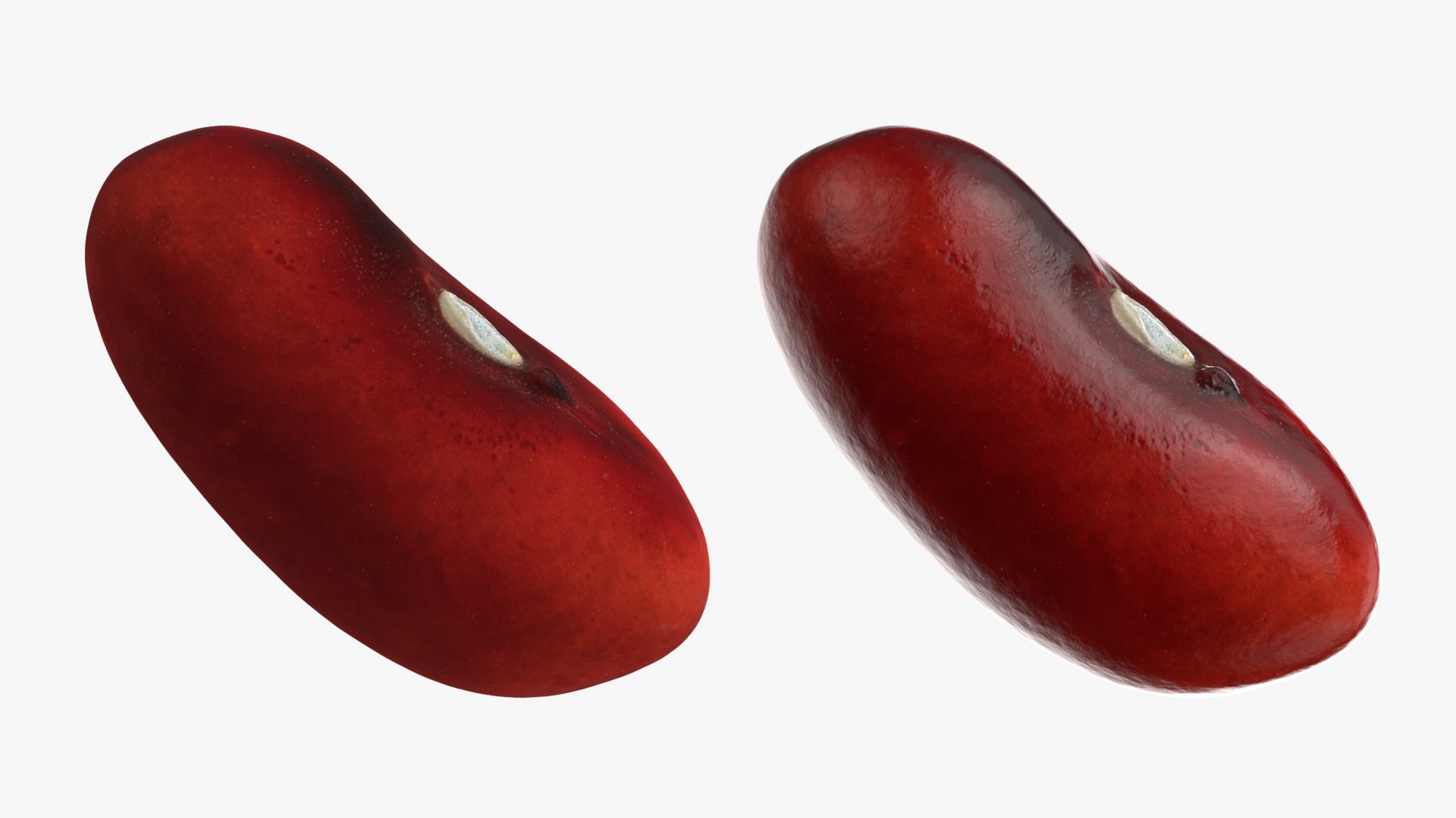 Red Kidney Bean 01 3D model https://p.turbosquid.com/ts-thumb/cr/8idSQT/PC/redbean01_0001b/png/1764354383/1920x1080/fit_q87/d7472bcd1e8a31e5b296a154ed8a43f5de250588/redbean01_0001b.jpg