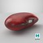 Red Kidney Bean 01 3D model