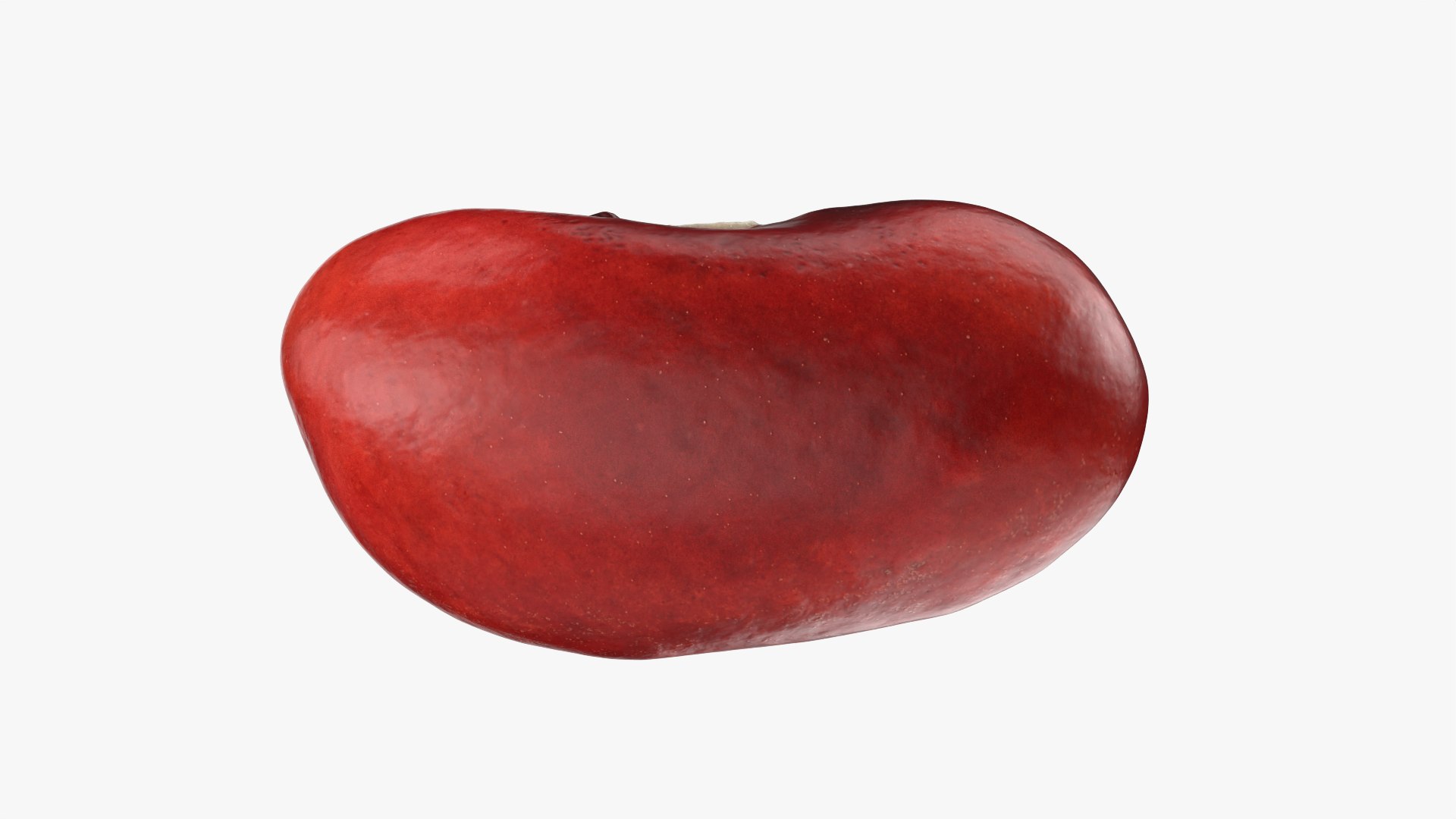 Red Kidney Bean 01 3D model https://p.turbosquid.com/ts-thumb/cr/8idSQT/qa/redbean01_0008/png/1764354393/1920x1080/fit_q87/a3abd93619df40e0aca3d6e70b4e0d92be1b9ad3/redbean01_0008.jpg