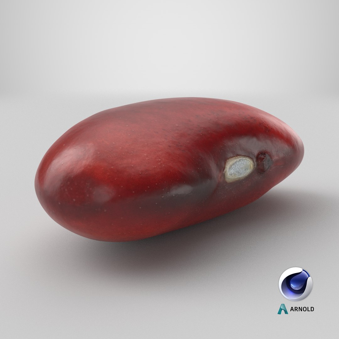 Red Kidney Bean 01 3D model https://p.turbosquid.com/ts-thumb/cr/8idSQT/sn/stemcell_cinema_4d_arnold_render/png/1764656664/1920x1080/fit_q87/9288f11c0194bc98cdd05fef3fd5d7b7105d60d9/stemcell_cinema_4d_arnold_render.jpg