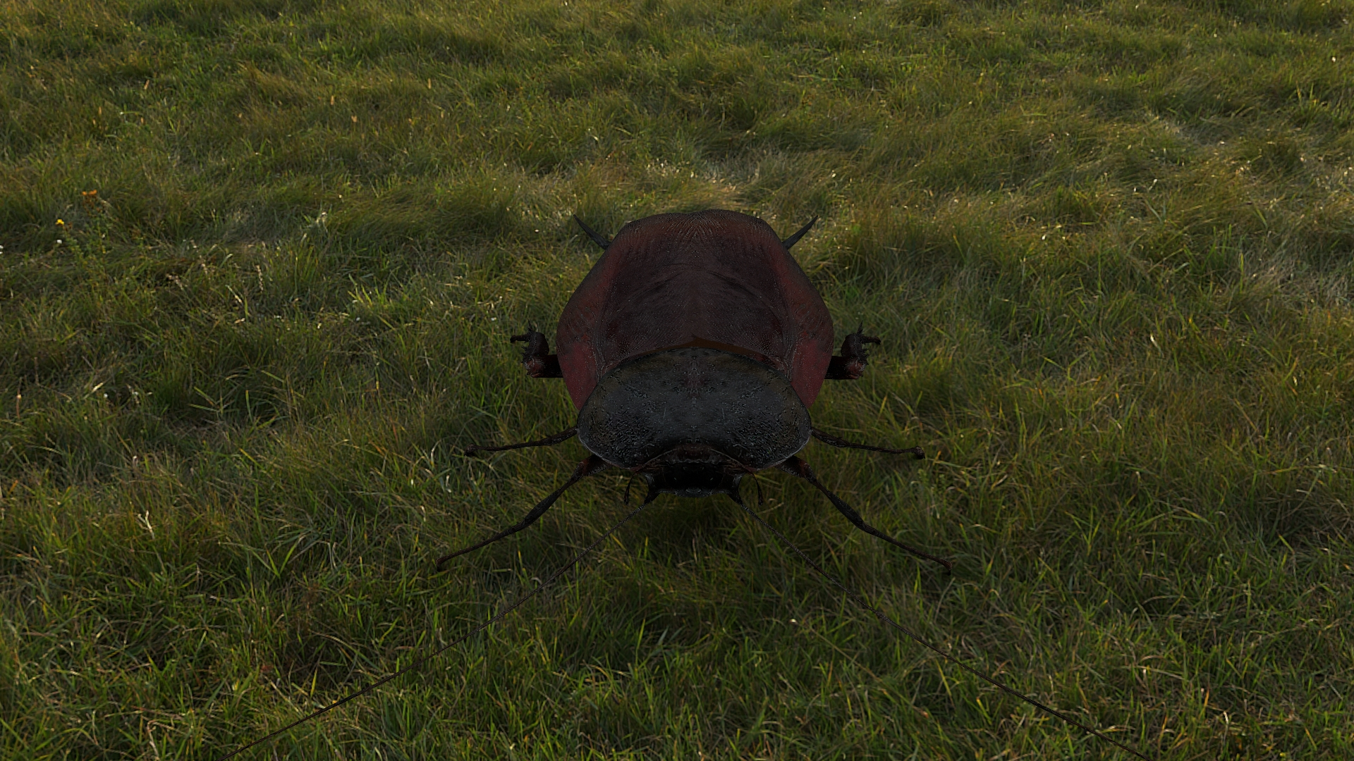 3D Rigged Cockroach Model - TurboSquid 2009925