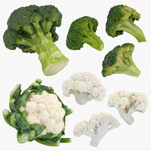 Cauliflower and Broccoli Collection