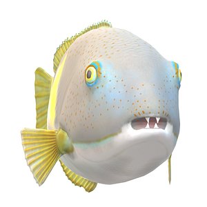 Orange dotted tuskfish 3D model