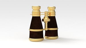 Binocular model