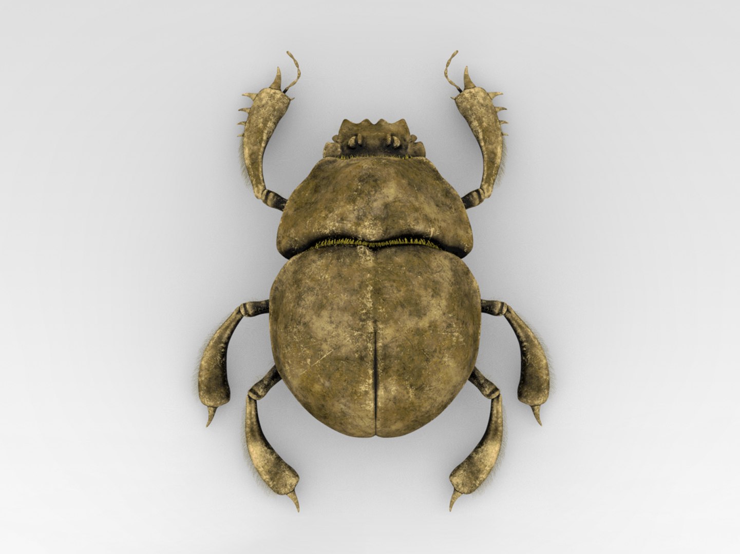 Golden Scarab 3D Model TurboSquid 1841442   001 