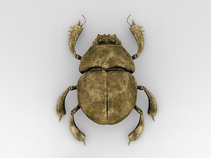 Golden Scarab