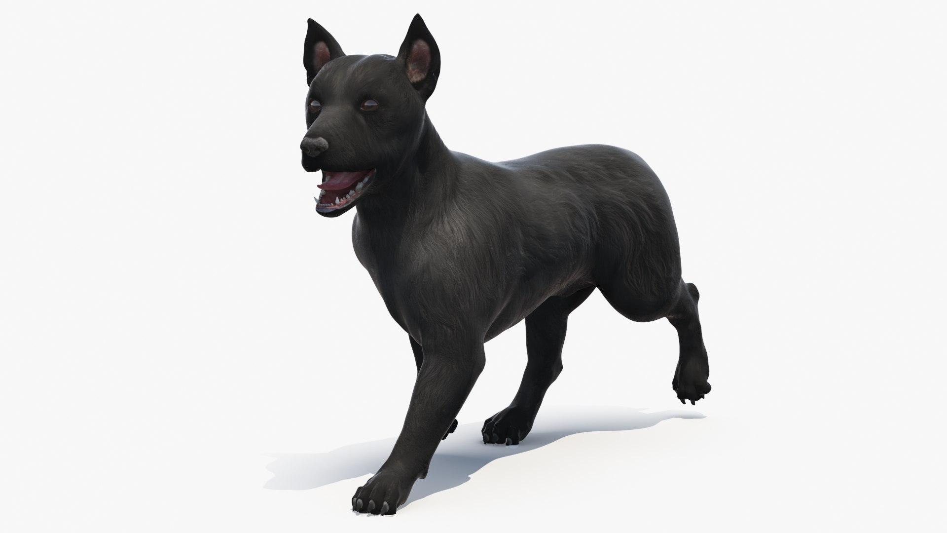 Mongrel Dog Dark Rigged for Maya 3D model preview
