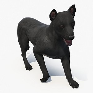Mongrel Dog Dark Rigged for Maya