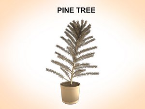 pines trees 3ds