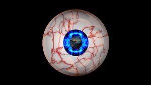rigged eyeballs 3D model