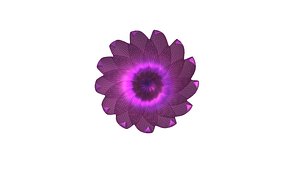 Animated Flower