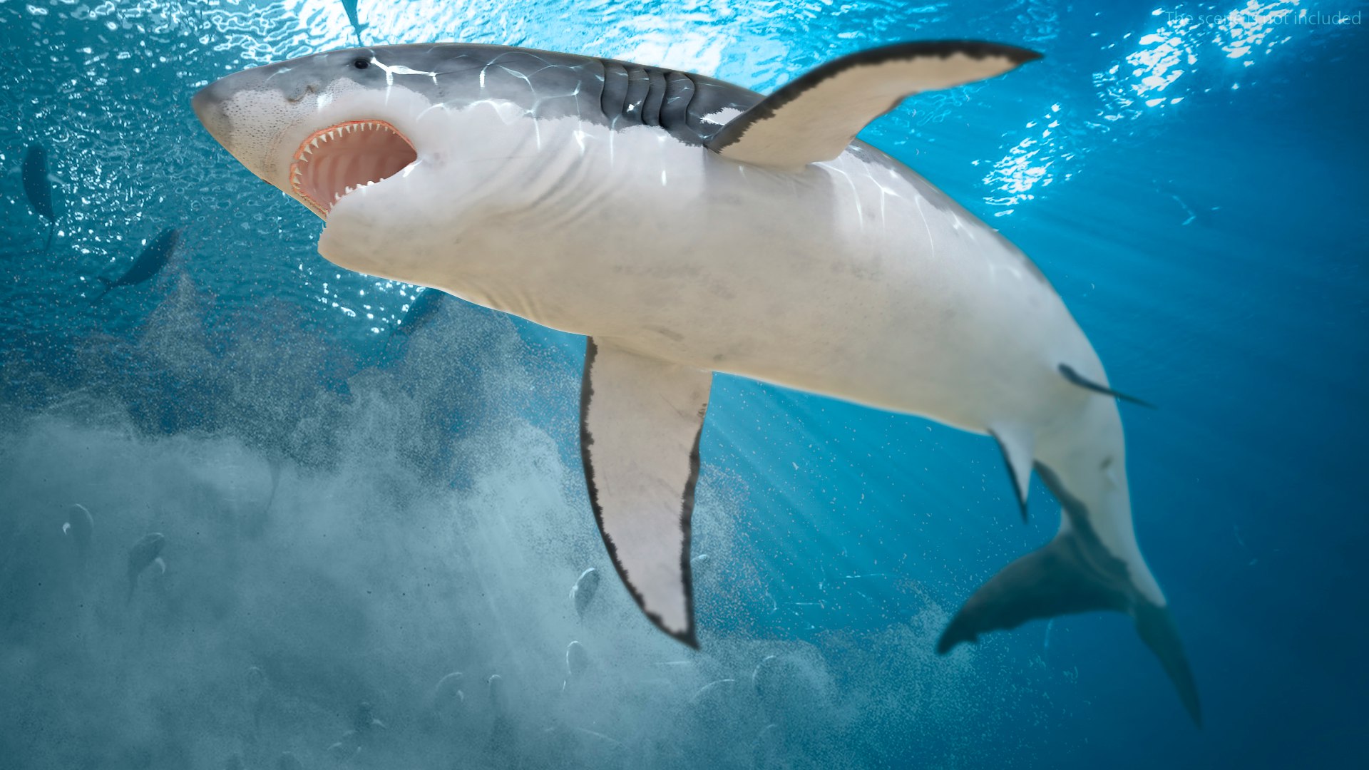 3D Rigged Sharks Collection 12 for Cinema 4D https://p.turbosquid.com/ts-thumb/cs/6OXMUD/0e/riggedsharkscollection123dsmodel040/jpg/1694385360/1920x1080/fit_q87/665537c1fe13b55ea175d302d9f928feaa484466/riggedsharkscollection123dsmodel040.jpg