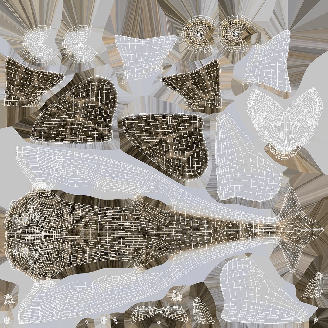 3D Rigged Sharks Collection 12 for Cinema 4D https://p.turbosquid.com/ts-thumb/cs/6OXMUD/F1/riggedsharkscollection123dsmodel056/jpg/1694385424/1920x1080/fit_q87/2f29734780a7d3dfdbd835ab145febf9bf74ccd6/riggedsharkscollection123dsmodel056.jpg