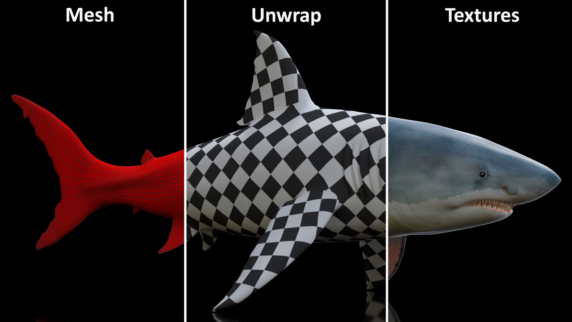 3D Rigged Sharks Collection 12 for Cinema 4D https://p.turbosquid.com/ts-thumb/cs/6OXMUD/Hr/riggedsharkscollection123dsmodel048/jpg/1694385393/1920x1080/fit_q87/3e35b3798eb6da5a36c123f393909245a45e50fa/riggedsharkscollection123dsmodel048.jpg