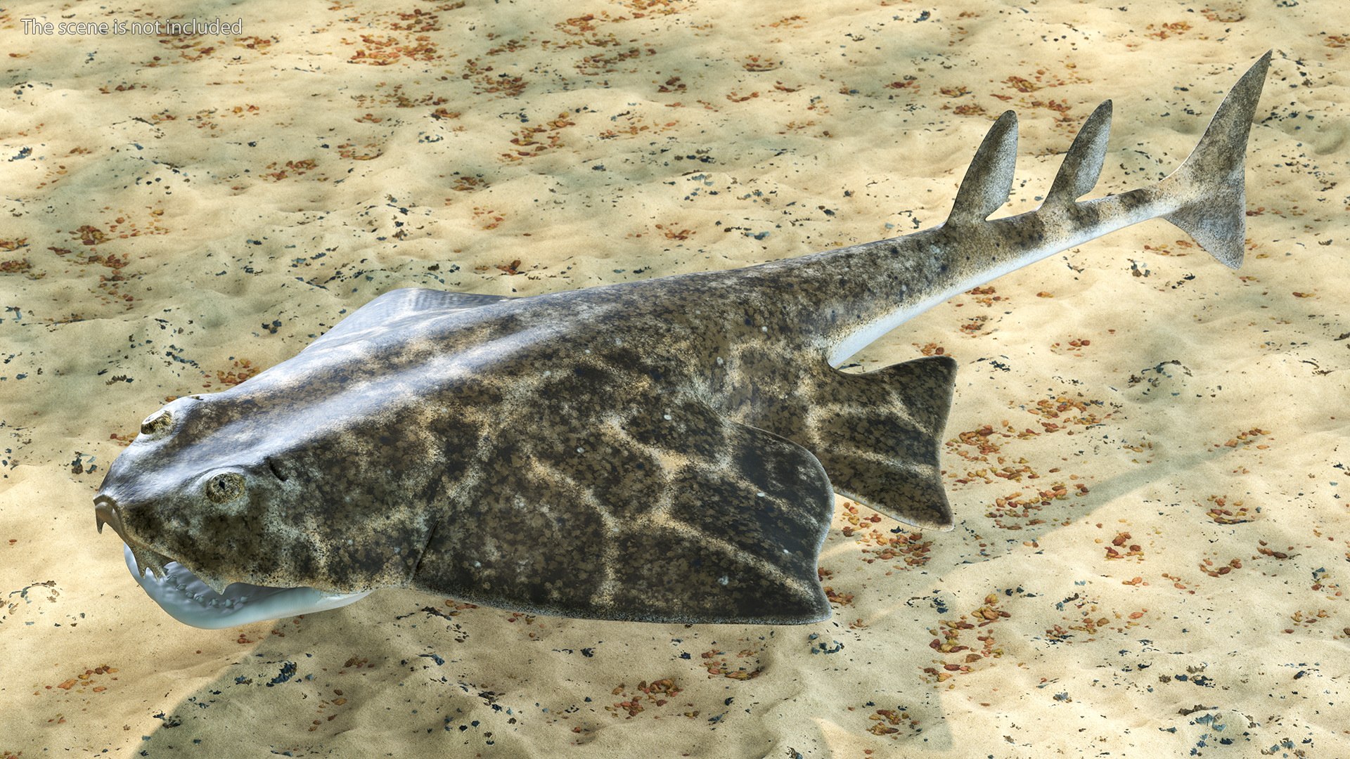 3D Rigged Sharks Collection 12 for Cinema 4D https://p.turbosquid.com/ts-thumb/cs/6OXMUD/MK/riggedsharkscollection123dsmodel002/jpg/1694385221/1920x1080/fit_q87/e0645697dbc37085b85a8b6bb6f2e62a5d49d63e/riggedsharkscollection123dsmodel002.jpg