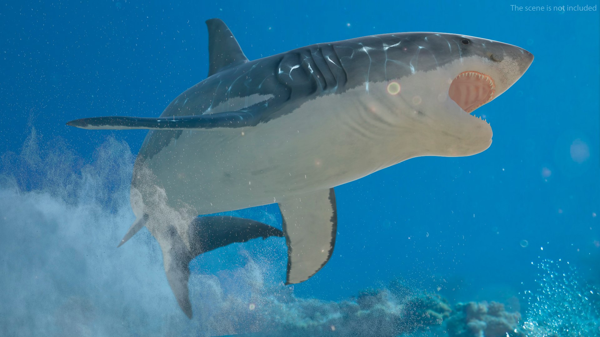 3D Rigged Sharks Collection 12 for Cinema 4D https://p.turbosquid.com/ts-thumb/cs/6OXMUD/RM/riggedsharkscollection123dsmodel037/jpg/1694385348/1920x1080/fit_q87/42139ffc5588edbab9cc7bdffd81f29c29616cdc/riggedsharkscollection123dsmodel037.jpg