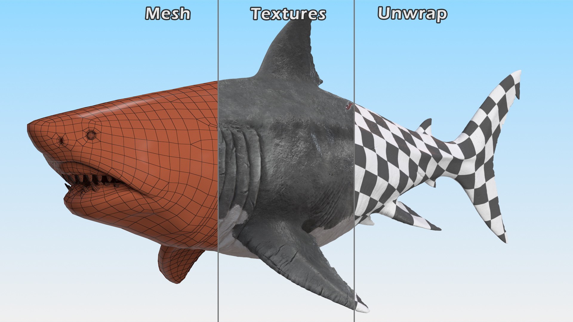 3D Rigged Sharks Collection 12 for Cinema 4D https://p.turbosquid.com/ts-thumb/cs/6OXMUD/Ts/riggedsharkscollection123dsmodel026/jpg/1694385307/1920x1080/fit_q87/622640d81b3a89c43a4d0268514ef99f3a7b0a0d/riggedsharkscollection123dsmodel026.jpg