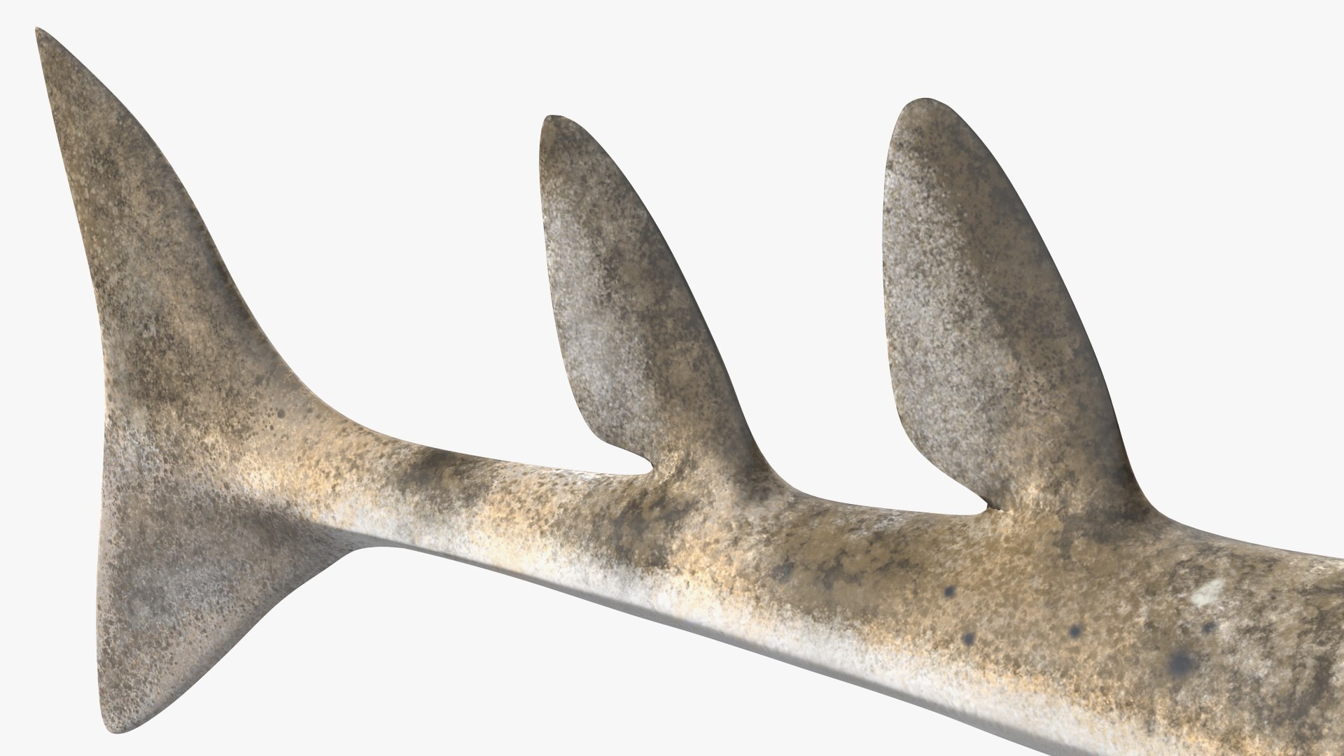 3D Rigged Sharks Collection 12 for Cinema 4D https://p.turbosquid.com/ts-thumb/cs/6OXMUD/j1/riggedsharkscollection123dsmodel016/jpg/1694385271/1920x1080/fit_q87/18a90fe606864ac86969e7d0734bf3ff58b205c7/riggedsharkscollection123dsmodel016.jpg