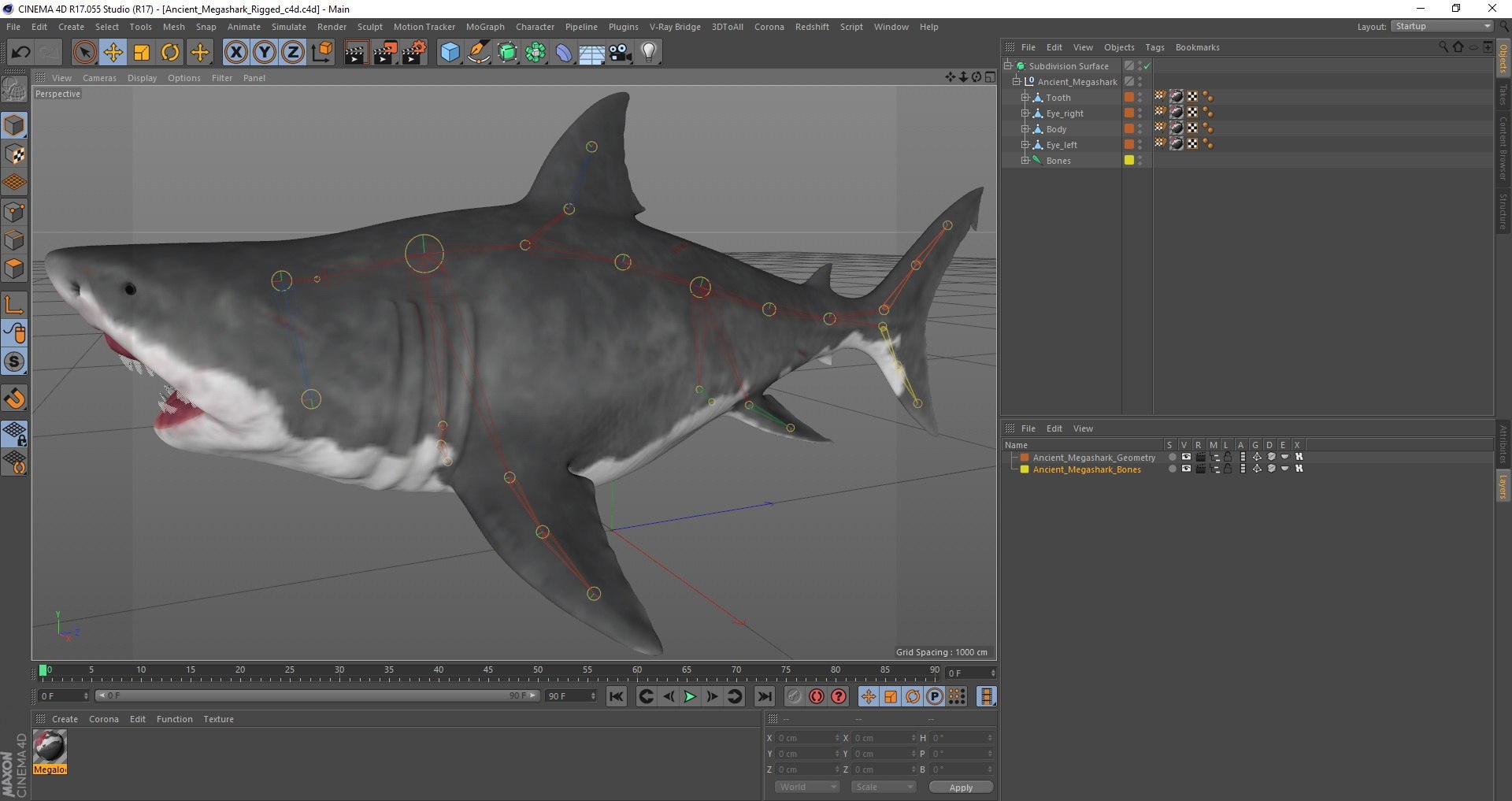 3D Rigged Sharks Collection 12 for Cinema 4D https://p.turbosquid.com/ts-thumb/cs/6OXMUD/mP/rigged_sharks_collection_12_for_cinema_4d_004/jpg/1723574321/1920x1080/fit_q87/e27e1924da45a79413383a4cce5043255862a52b/rigged_sharks_collection_12_for_cinema_4d_004.jpg