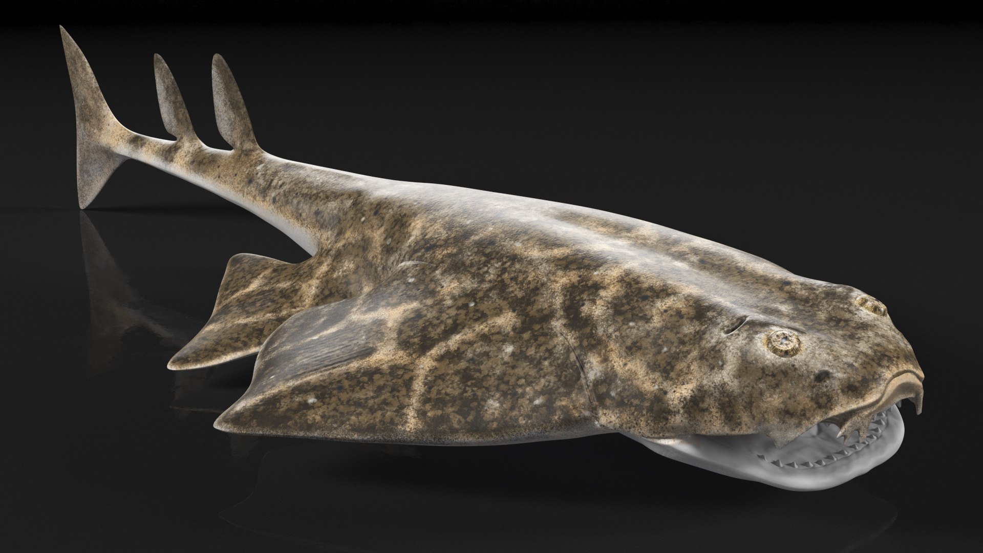 3D Rigged Sharks Collection 12 for Cinema 4D https://p.turbosquid.com/ts-thumb/cs/6OXMUD/pZ/riggedsharkscollection123dsmodel007/jpg/1694385237/1920x1080/fit_q87/301c467fa042cd3591bb1902cf571fac35e553de/riggedsharkscollection123dsmodel007.jpg